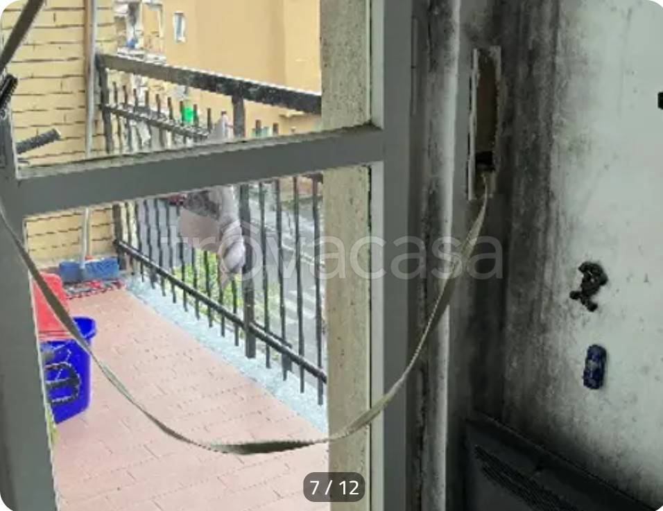 immagine annuncio 12 di 14