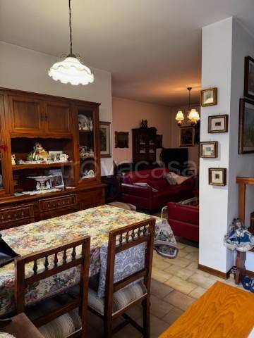 immagine annuncio 1 di 14