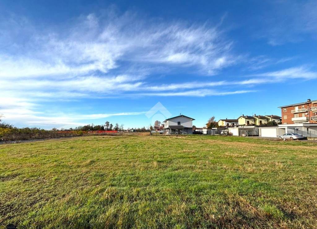 immagine annuncio 3 di 12