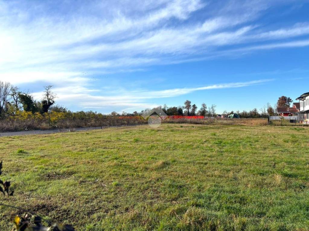 immagine annuncio 4 di 12