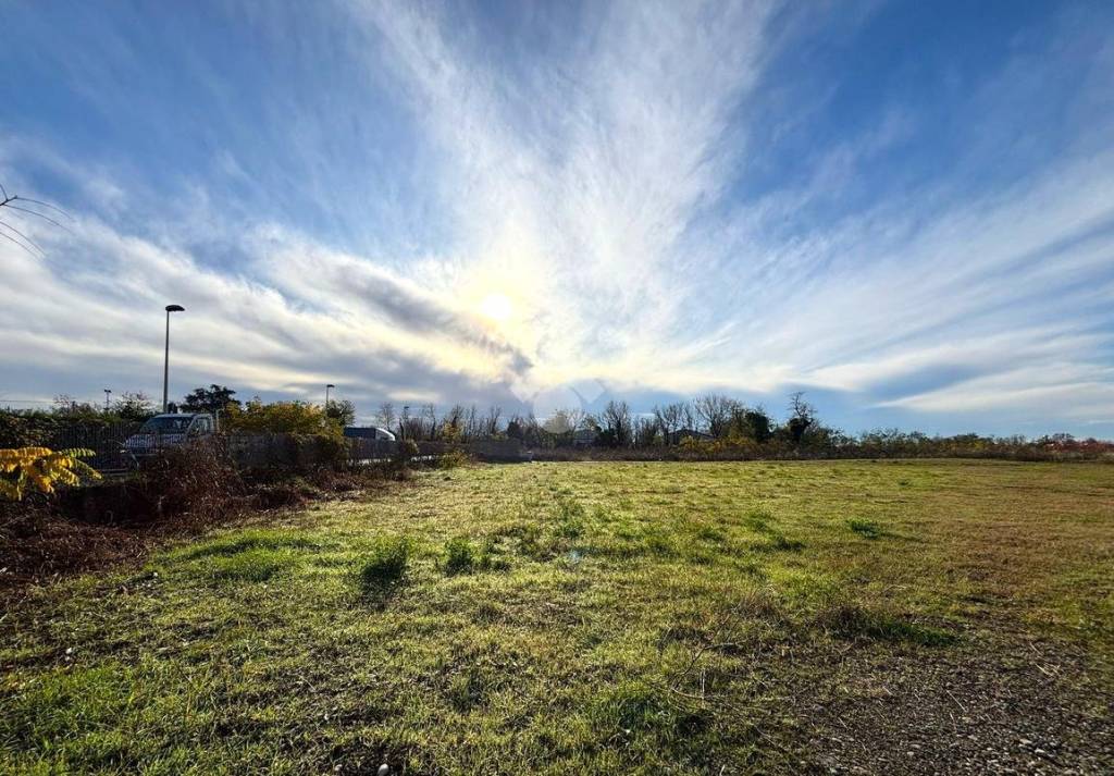 immagine annuncio 8 di 12