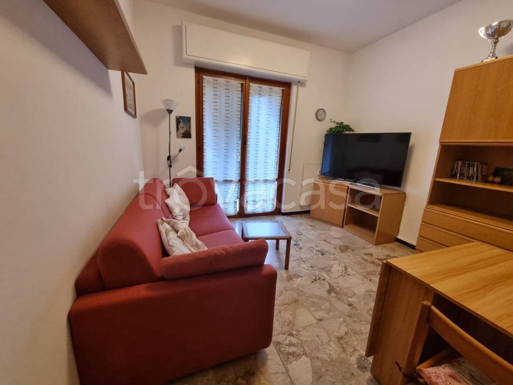 immagine annuncio 3 di 14