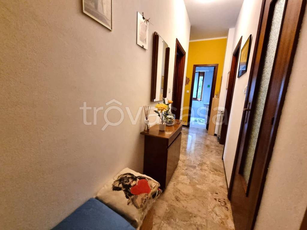 immagine annuncio 11 di 14