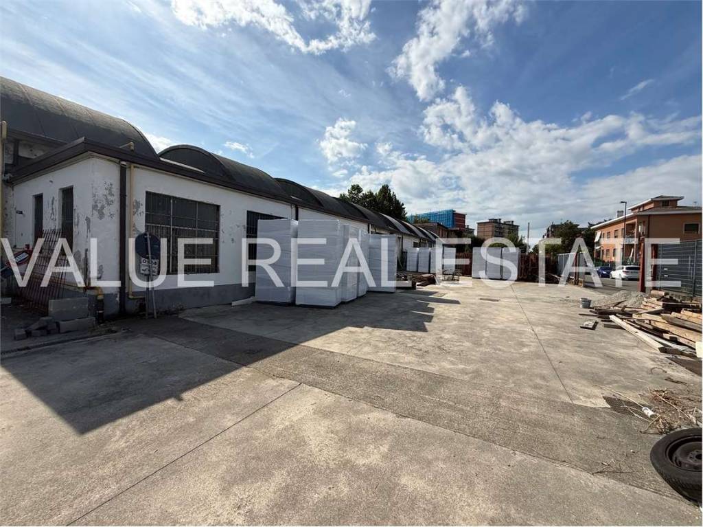 immagine annuncio 3 di 12