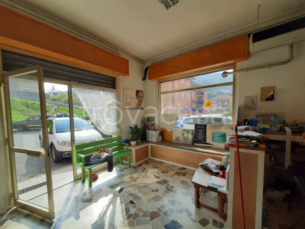 immagine annuncio 2 di 14