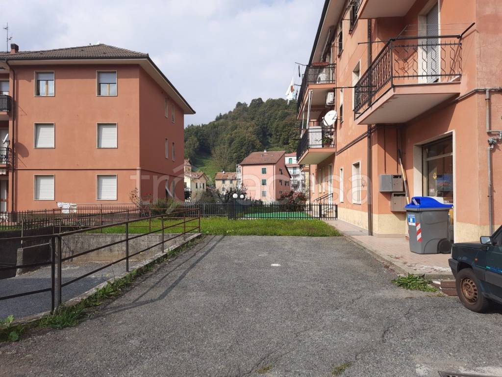 immagine annuncio 11 di 14