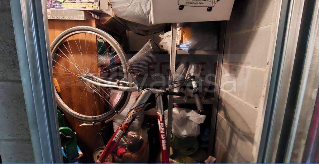 immagine annuncio 9 di 11