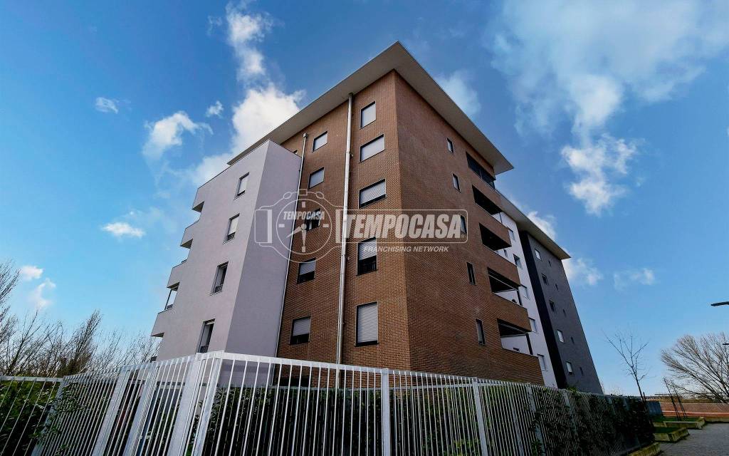 immagine annuncio 11 di 13