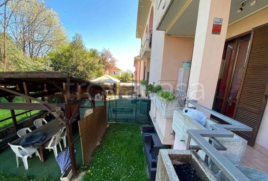 immagine annuncio 5 di 15