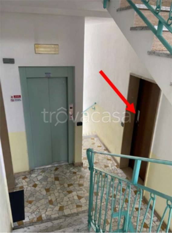 immagine annuncio 7 di 14