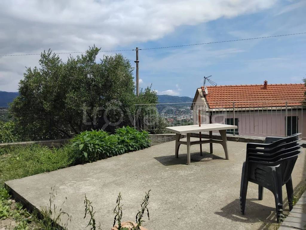 immagine annuncio 12 di 13