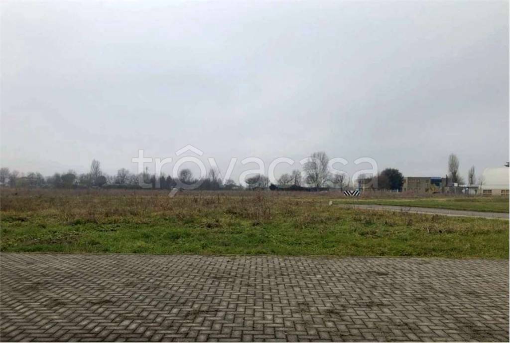 immagine annuncio 4 di 12