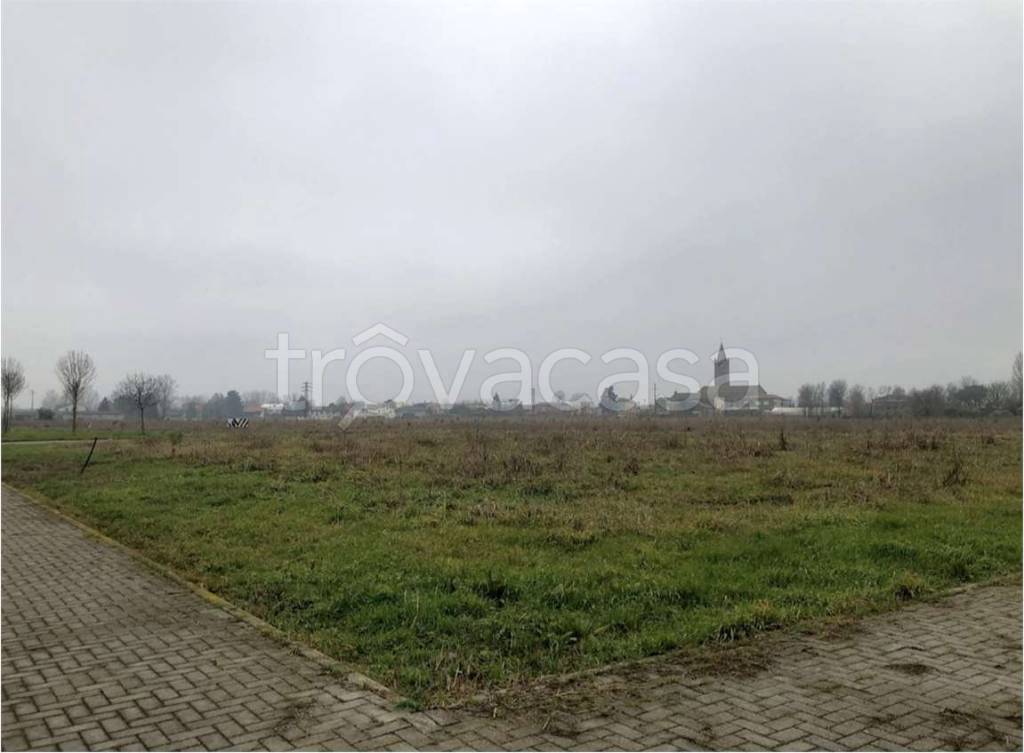 immagine annuncio 5 di 12