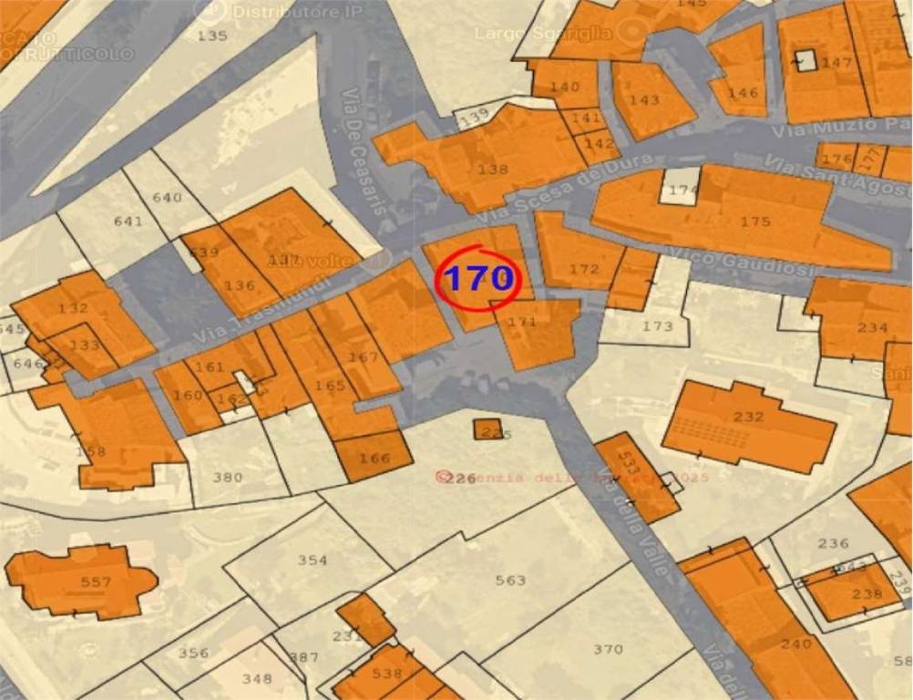 immagine annuncio 8 di 15