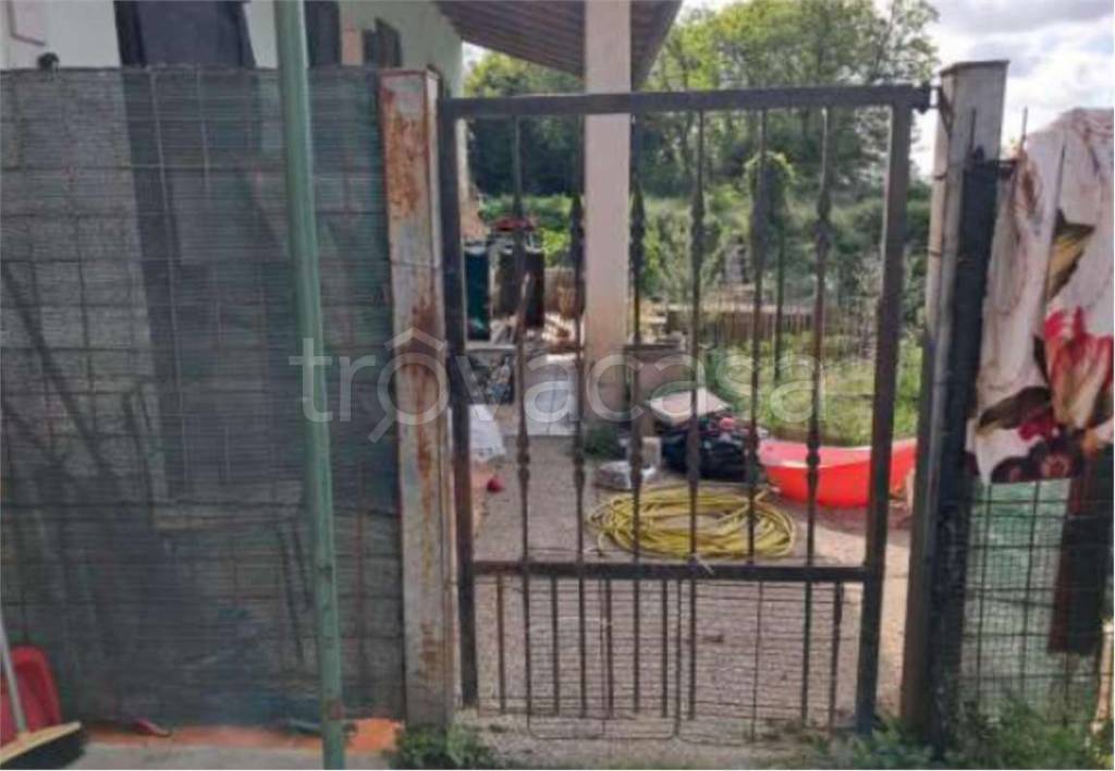 immagine annuncio 4 di 14