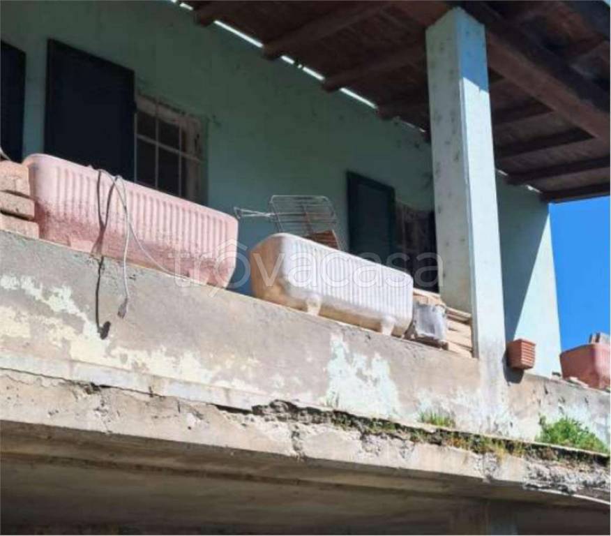 immagine annuncio 6 di 14