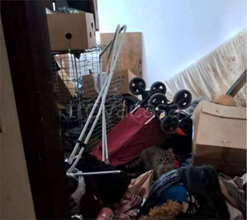 immagine annuncio 12 di 14