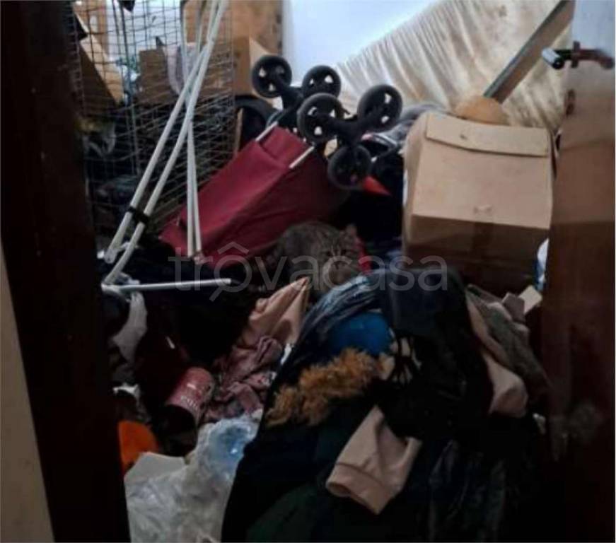 immagine annuncio 13 di 14