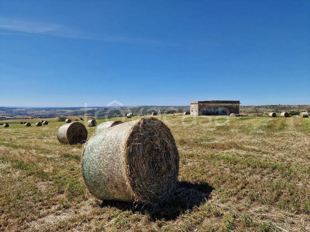 immagine annuncio 4 di 12