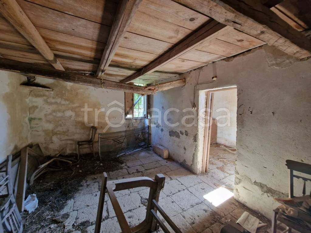 immagine annuncio 12 di 14