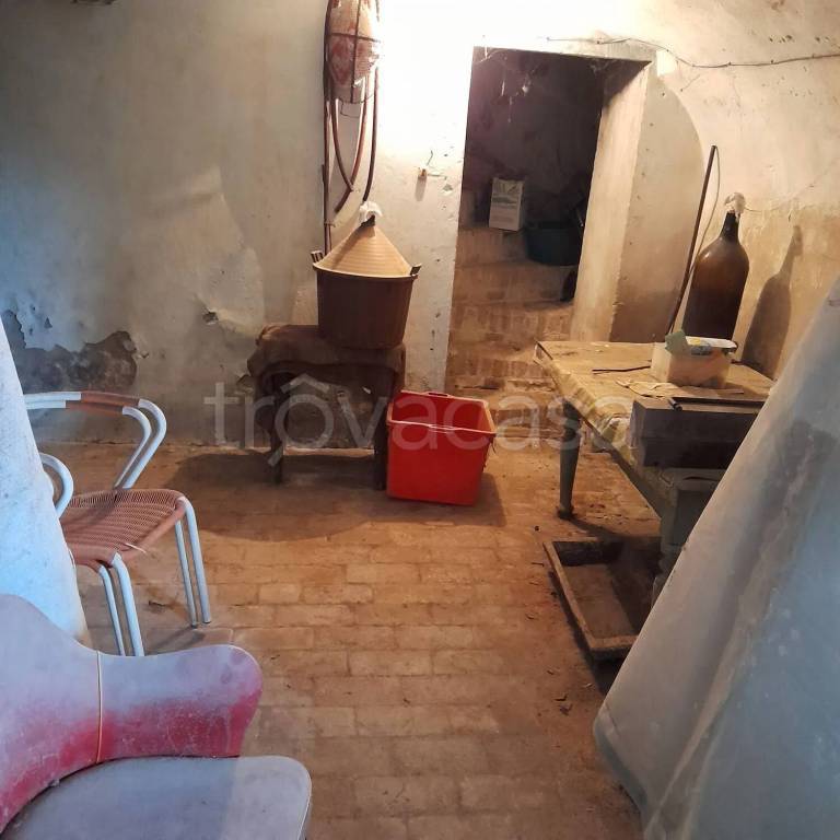 immagine annuncio 1 di 6