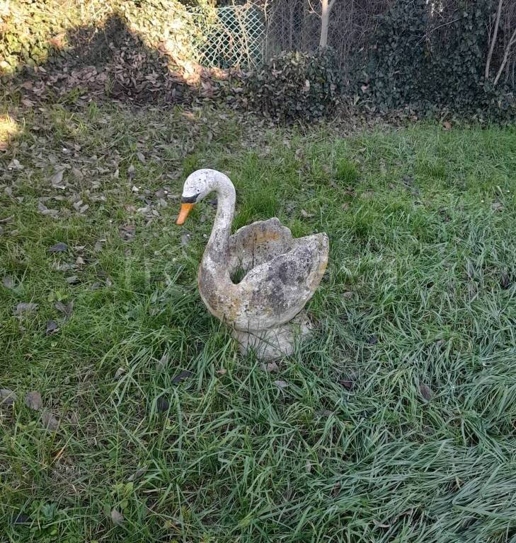 immagine annuncio 2 di 7