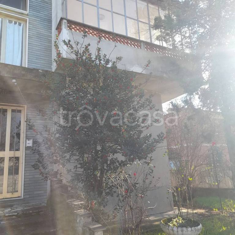 immagine annuncio 3 di 7