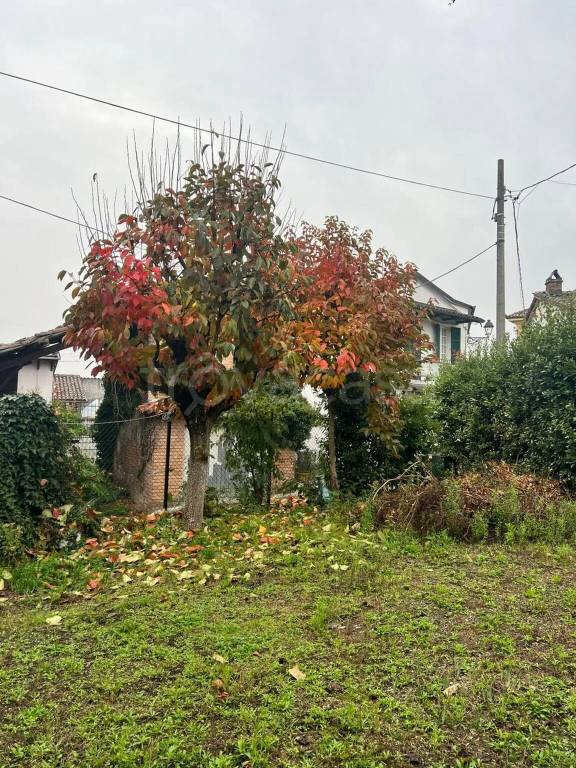 immagine annuncio 2 di 12