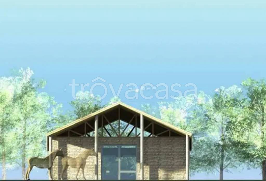 immagine annuncio 2 di 9