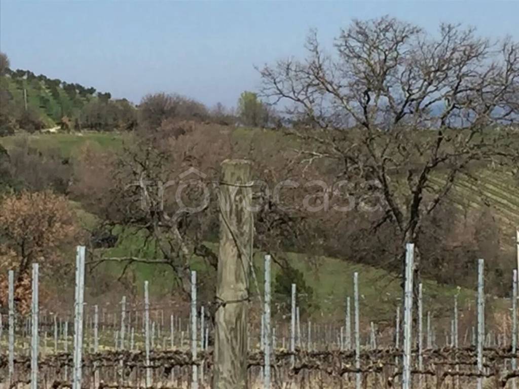 immagine annuncio 3 di 7