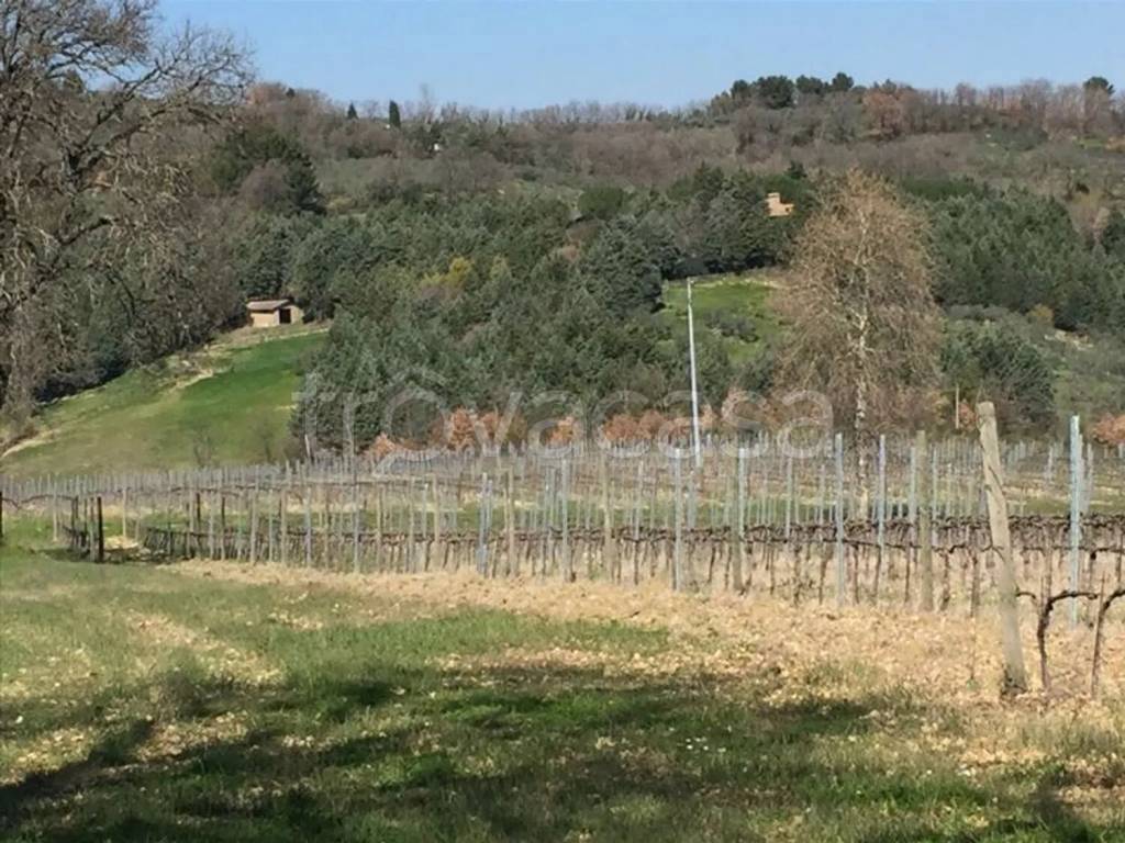 immagine annuncio 4 di 7