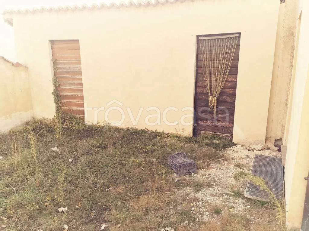 immagine annuncio 2 di 14