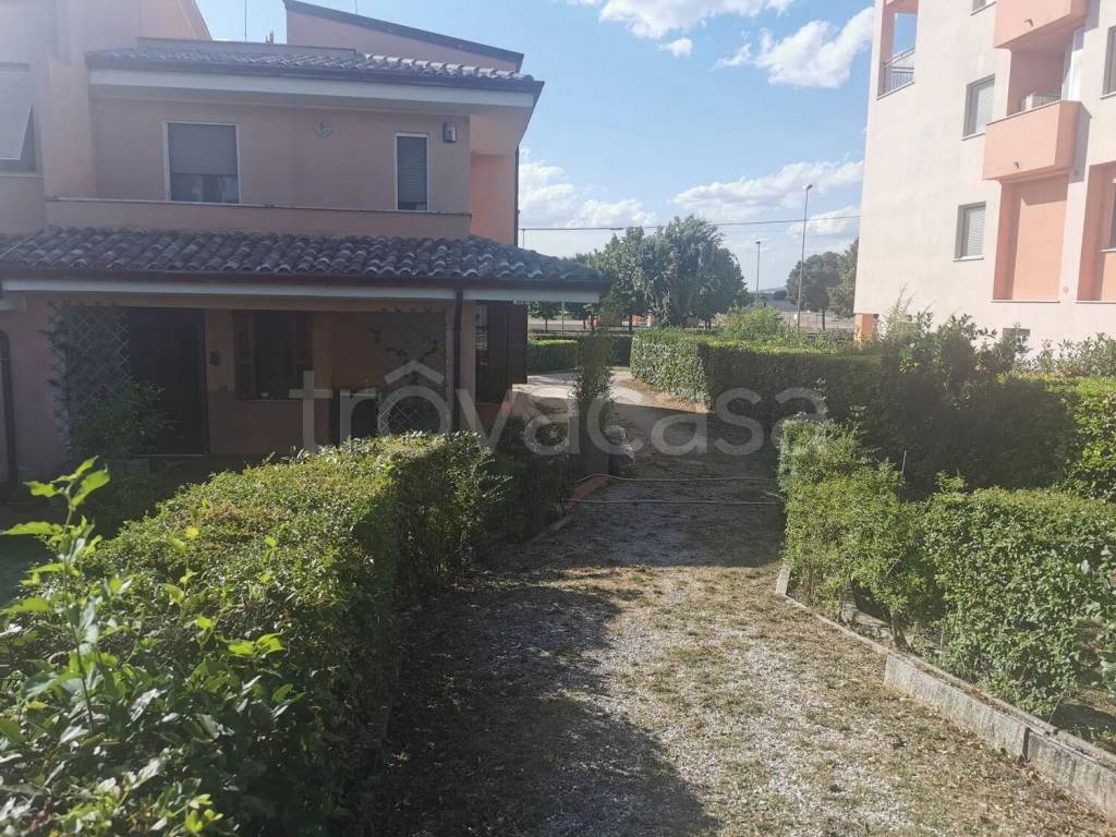 immagine annuncio 2 di 13