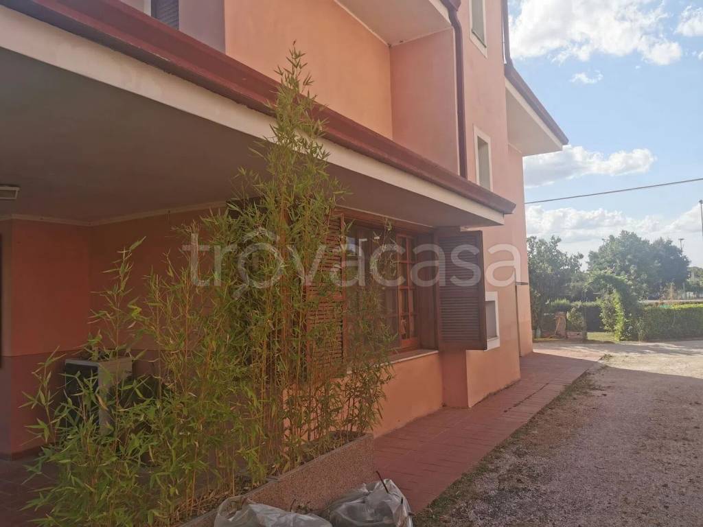 immagine annuncio 3 di 13