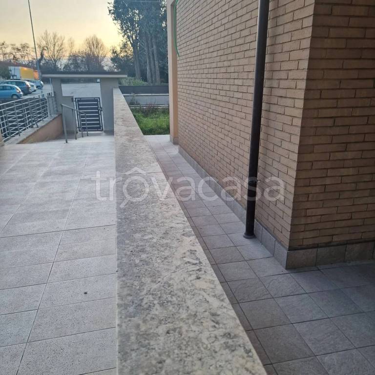 immagine annuncio 12 di 14