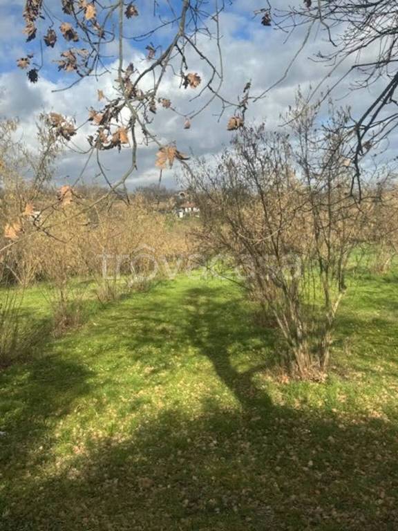 immagine annuncio 2 di 6