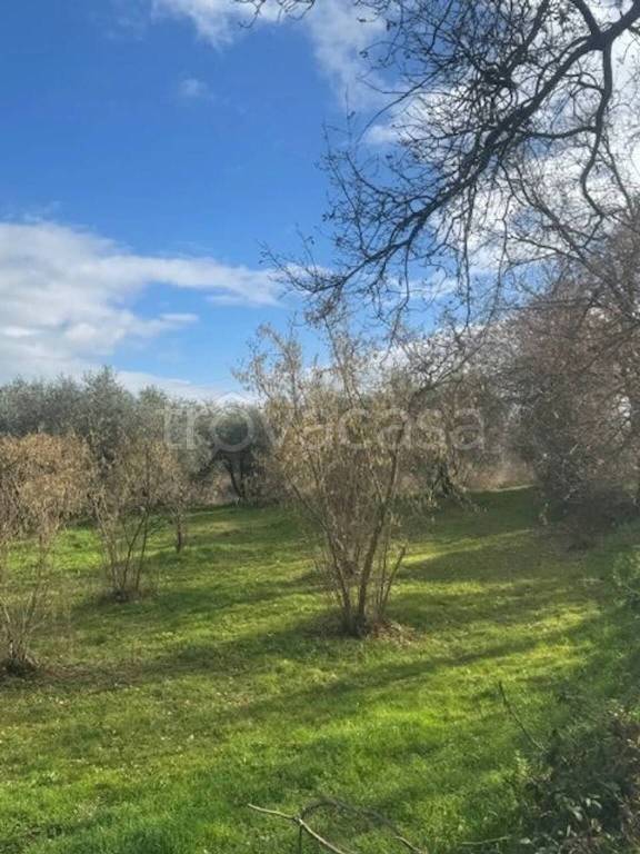 immagine annuncio 5 di 6