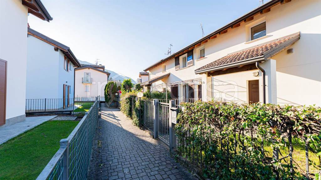 immagine annuncio 5 di 15