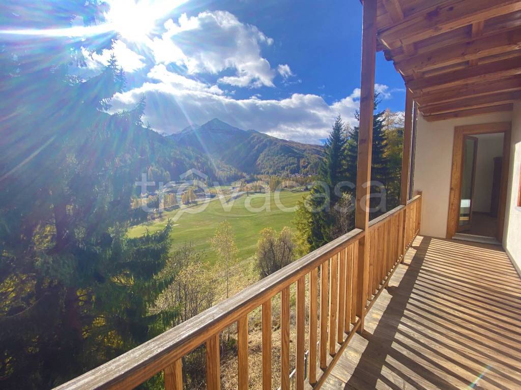 immagine annuncio 9 di 12