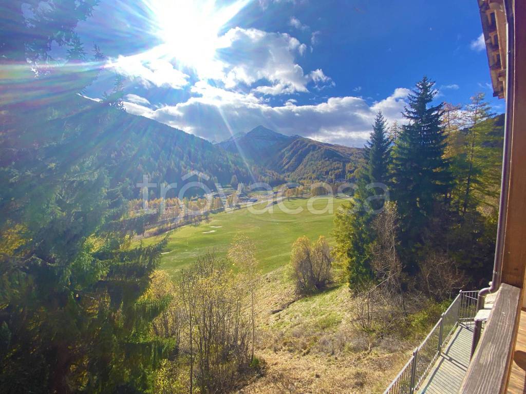 immagine annuncio 11 di 12