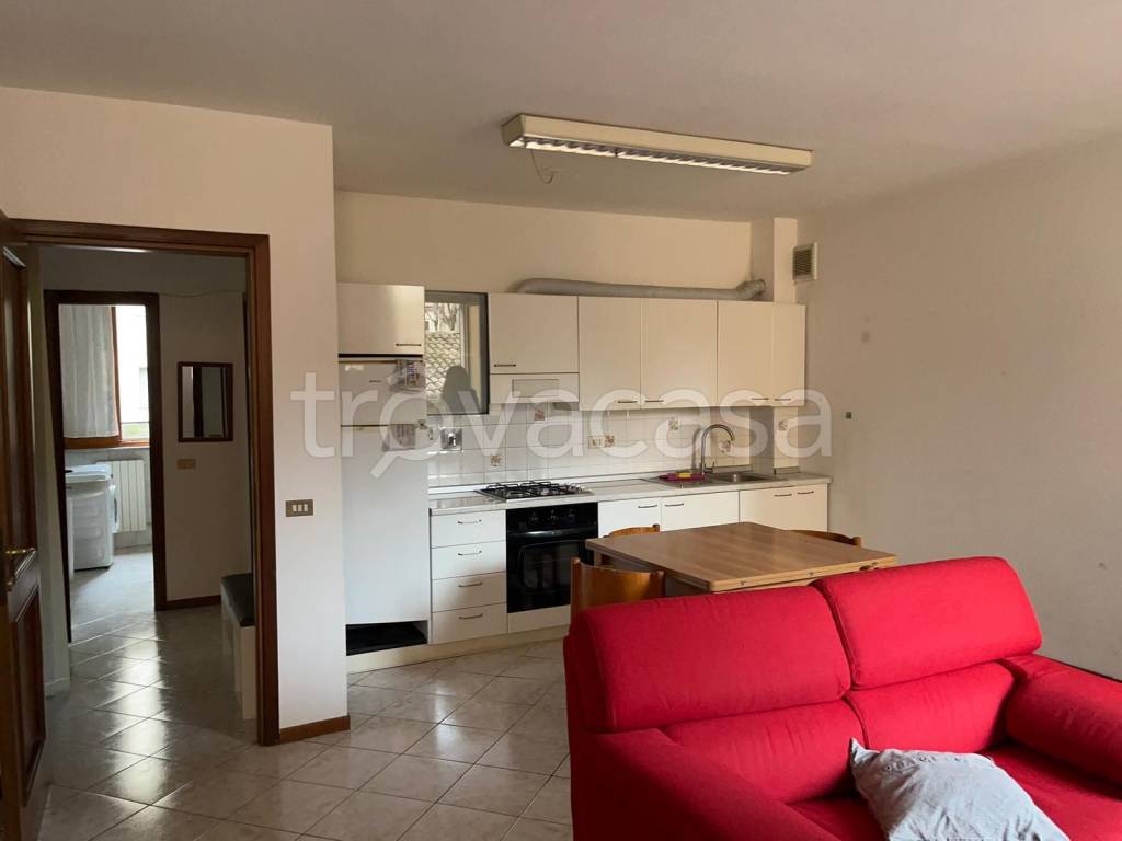 immagine annuncio 1 di 4