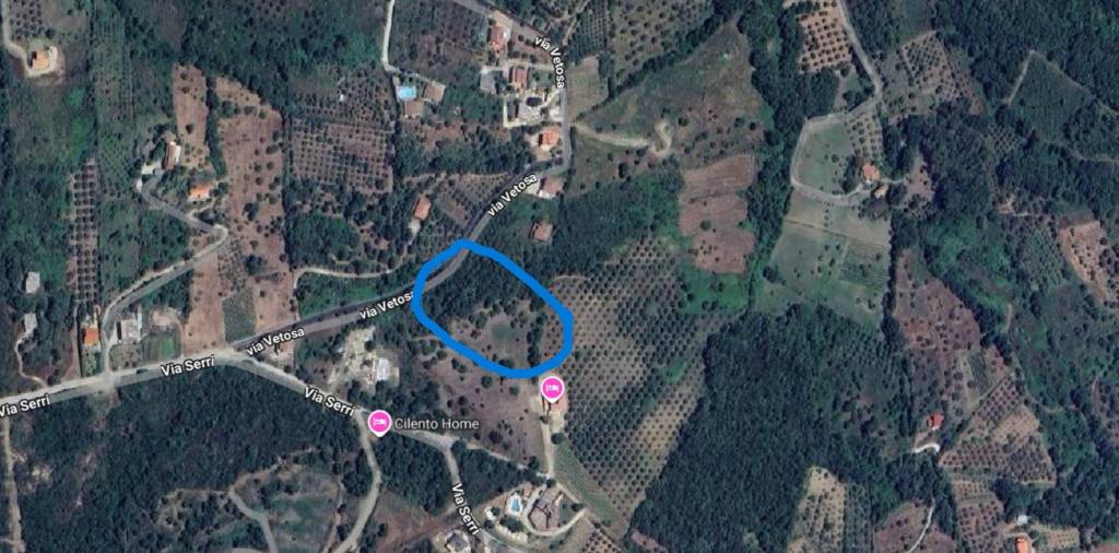 immagine annuncio 3 di 7