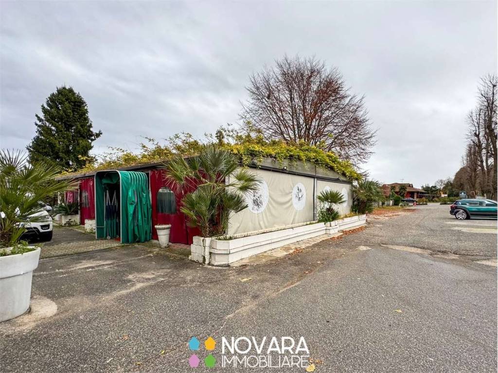 immagine annuncio 6 di 12