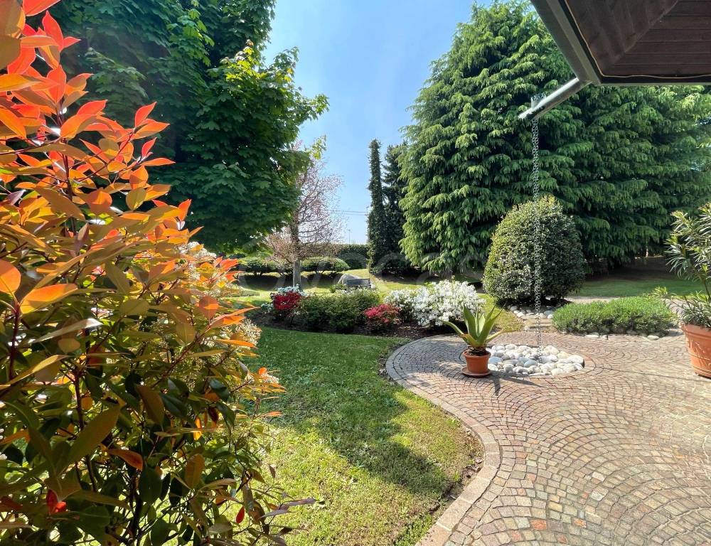 immagine annuncio 11 di 15