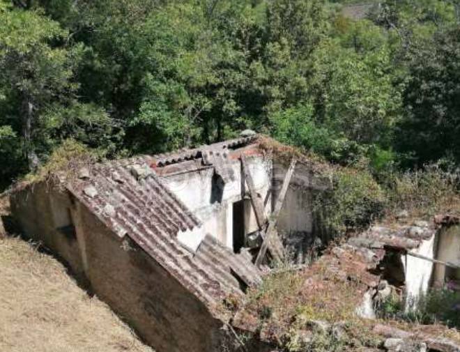 immagine annuncio 4 di 11