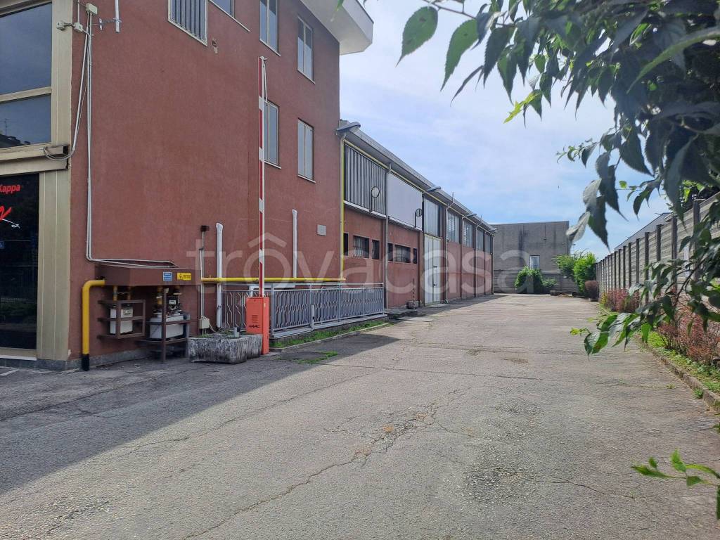 immagine annuncio 4 di 12