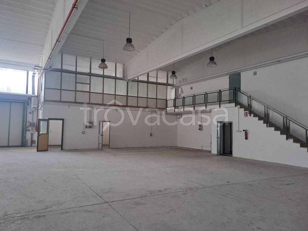 immagine annuncio 2 di 12