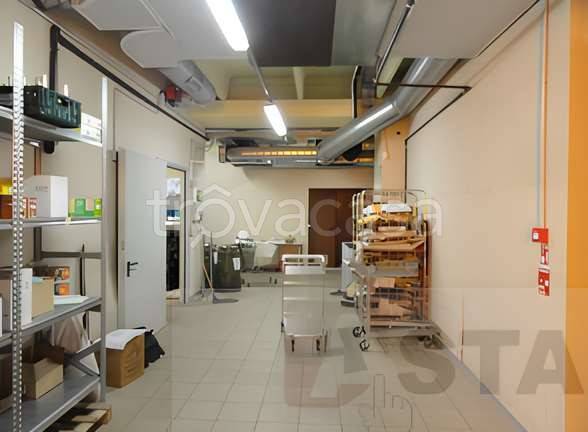 immagine annuncio 4 di 8