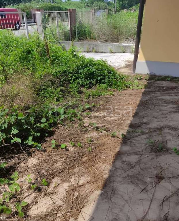 immagine annuncio 2 di 11