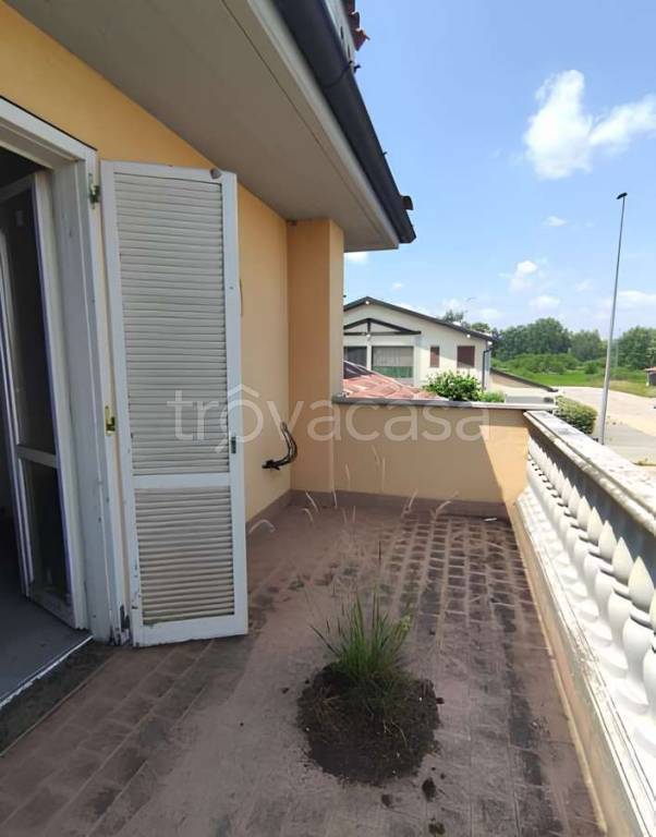 immagine annuncio 11 di 13